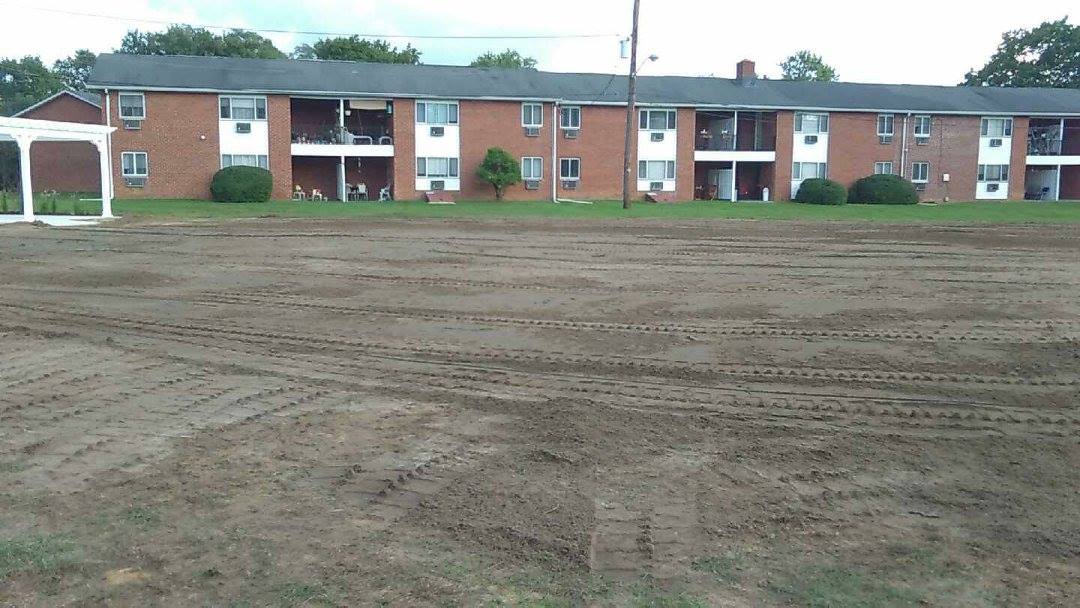 pool removal near me